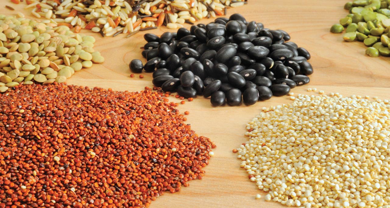 Pulses, Pasta and Paste